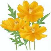 ヒメ日記 2025/05/16 01:17 投稿 めい 岐阜岐南各務原ちゃんこ