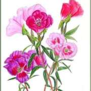 ヒメ日記 2025/06/19 21:37 投稿 めい 岐阜岐南各務原ちゃんこ