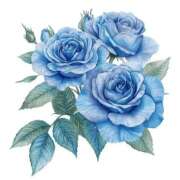 ヒメ日記 2025/09/14 19:57 投稿 めい 岐阜岐南各務原ちゃんこ