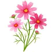 ヒメ日記 2025/09/14 23:47 投稿 めい 岐阜岐南各務原ちゃんこ