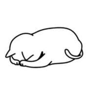 ヒメ日記 2025/09/18 17:37 投稿 めい 岐阜岐南各務原ちゃんこ