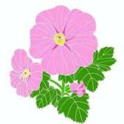 ヒメ日記 2025/09/26 19:57 投稿 めい 岐阜岐南各務原ちゃんこ