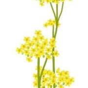 ヒメ日記 2025/10/09 19:47 投稿 めい 岐阜岐南各務原ちゃんこ