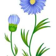 ヒメ日記 2025/10/09 22:31 投稿 めい 岐阜岐南各務原ちゃんこ