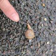 ヒメ日記 2025/10/16 16:07 投稿 めい 岐阜岐南各務原ちゃんこ