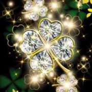 ヒメ日記 2025/12/18 14:47 投稿 めい 岐阜岐南各務原ちゃんこ