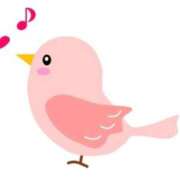 ヒメ日記 2026/01/27 15:47 投稿 めい 岐阜岐南各務原ちゃんこ