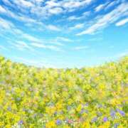 ヒメ日記 2026/03/20 15:57 投稿 めい 岐阜岐南各務原ちゃんこ