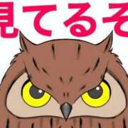 ヒメ日記 2026/04/03 14:07 投稿 めい 岐阜岐南各務原ちゃんこ