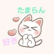 ヒメ日記 2026/07/28 19:07 投稿 めい 岐阜岐南各務原ちゃんこ