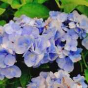 ヒメ日記 2026/08/17 13:37 投稿 めい 岐阜岐南各務原ちゃんこ