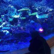 ヒメ日記 2026/02/09 20:46 投稿 のあ Las Vegas(新潟)