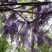 ヒメ日記 2025/05/09 03:09 投稿 けい 人妻美人館