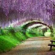 ヒメ日記 2025/05/10 03:07 投稿 けい 人妻美人館