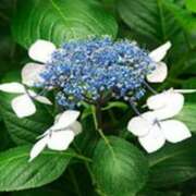 ヒメ日記 2025/06/01 03:08 投稿 けい 人妻美人館