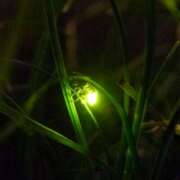 ヒメ日記 2025/06/07 03:07 投稿 けい 人妻美人館