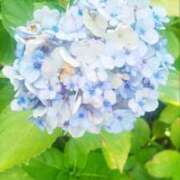 ヒメ日記 2025/06/21 03:08 投稿 けい 人妻美人館