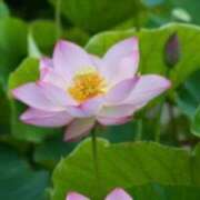 ヒメ日記 2025/07/15 06:17 投稿 けい 人妻美人館