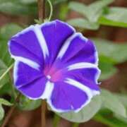 ヒメ日記 2025/08/09 03:09 投稿 けい 人妻美人館