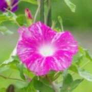 ヒメ日記 2025/08/22 03:10 投稿 けい 人妻美人館