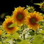 ヒメ日記 2025/08/23 03:09 投稿 けい 人妻美人館