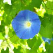 ヒメ日記 2025/08/24 03:10 投稿 けい 人妻美人館