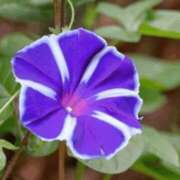 ヒメ日記 2025/08/26 02:07 投稿 けい 人妻美人館