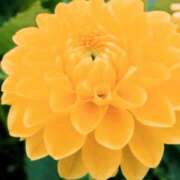 ヒメ日記 2025/08/30 03:10 投稿 けい 人妻美人館