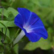 ヒメ日記 2025/09/16 02:08 投稿 けい 人妻美人館