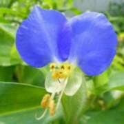 ヒメ日記 2025/09/30 02:09 投稿 けい 人妻美人館