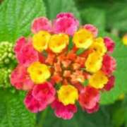 ヒメ日記 2025/10/10 03:09 投稿 けい 人妻美人館