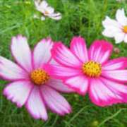 ヒメ日記 2025/10/21 02:07 投稿 けい 人妻美人館