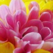 ヒメ日記 2025/11/16 03:09 投稿 けい 人妻美人館