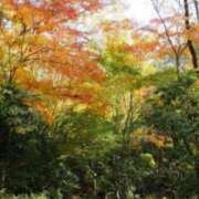 ヒメ日記 2025/11/25 02:11 投稿 けい 人妻美人館