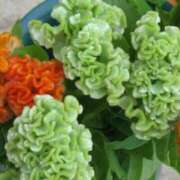 ヒメ日記 2025/11/30 03:08 投稿 けい 人妻美人館