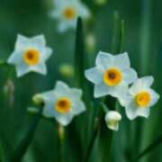 ヒメ日記 2025/12/16 02:12 投稿 けい 人妻美人館