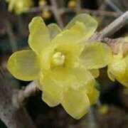 ヒメ日記 2026/01/23 03:10 投稿 けい 人妻美人館