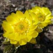 ヒメ日記 2026/02/01 03:09 投稿 けい 人妻美人館