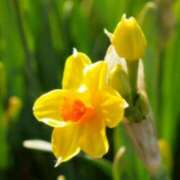 ヒメ日記 2026/02/03 02:07 投稿 けい 人妻美人館