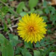 ヒメ日記 2026/02/27 03:11 投稿 けい 人妻美人館