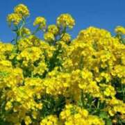 けい 有り難う御座いました 人妻美人館