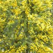 ヒメ日記 2026/03/01 03:09 投稿 けい 人妻美人館