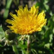 ヒメ日記 2026/03/03 02:15 投稿 けい 人妻美人館