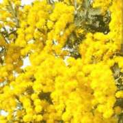 ヒメ日記 2026/03/06 03:11 投稿 けい 人妻美人館