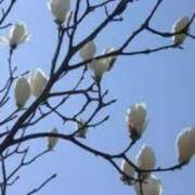 ヒメ日記 2026/03/14 03:10 投稿 けい 人妻美人館