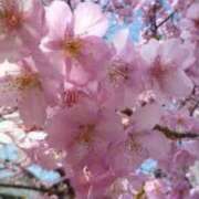 ヒメ日記 2026/04/05 03:00 投稿 けい 人妻美人館