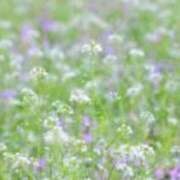 ヒメ日記 2026/05/17 01:00 投稿 けい 人妻美人館