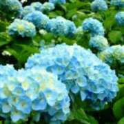 ヒメ日記 2026/06/14 01:00 投稿 けい 人妻美人館
