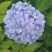 ヒメ日記 2026/06/19 01:00 投稿 けい 人妻美人館