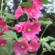 ヒメ日記 2026/07/24 01:00 投稿 けい 人妻美人館